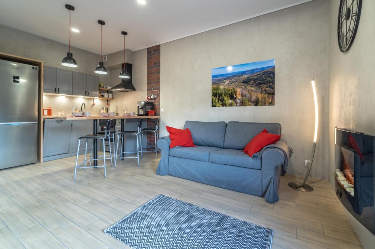 Apartamenty Pod Gondola Swieradow Dış mekan fotoğraf